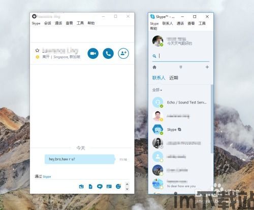 skype汉化版,畅享全球沟通新体验(图2)