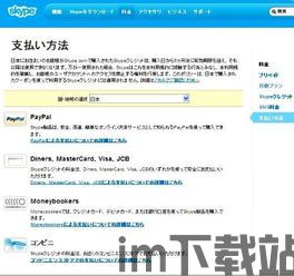 skype充值量,不同套餐选择与费用解析(图2)