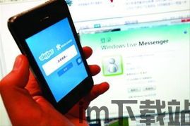 skype和msn整合(图2)