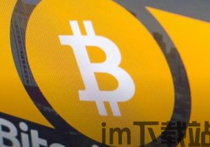 谁需要比特币套现,揭秘投资者如何实现财富变现(图2)