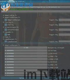 激战2reshade安装选dx9还是dx10,DX9与DX10选择解析(图2)