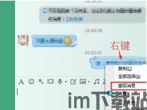 skype发错信息可以撤回吗,Skype发错信息怎么办？教你轻松撤回技巧(图2)