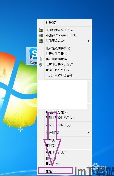 skype窗口托盘,便捷沟通的隐形助手(图1)