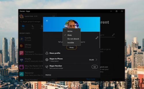 skype设置时间离开,轻松离开(图1)