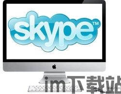 skype和国外视频,跨越国界的沟通桥梁(图1)