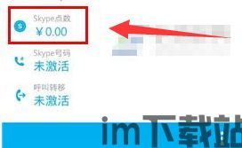 skype充点数,畅享无障碍沟通(图2)