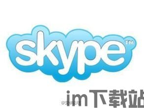 skype翻译谐音,跨越语言界限的神奇之旅”(图2)