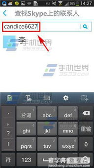 skype加陌生好友,Skype好友新篇章(图1)