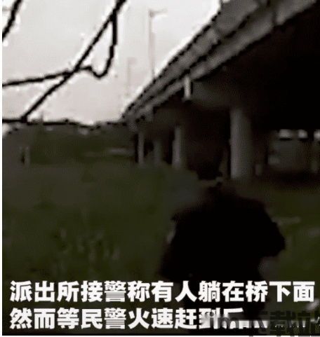 我的室友女朋友 (图3)