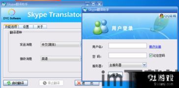 skype实时翻译工具英文,Real-Time Translation on Skype: Bridging Language Barriers Instantly(图3)