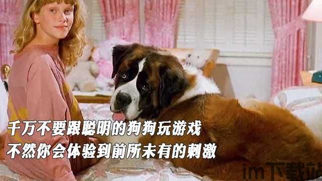 我坦克玩的贼6 (图2) 我坦克玩的贼6 (图2)