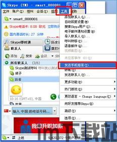skype办理短信,畅享便捷沟通体验(图3) skype办理短信,畅享便捷沟通体验(图3)