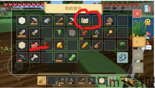 波西亚时光无限金币无限材料 (图3) 波西亚时光无限金币无限材料 (图3)