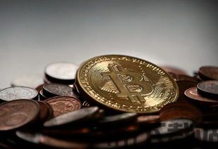 至少一枚比特币,探索数字货币的奥秘(图1) 至少一枚比特币,探索数字货币的奥秘(图1)