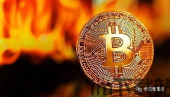 比特币之王有多牛,引领数字货币革命的传奇力量(图1) 比特币之王有多牛,引领数字货币革命的传奇力量(图1)