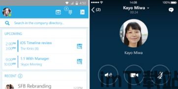 skype静音与会人,成就非凡之旅”(图2) skype静音与会人,成就非凡之旅”(图2)