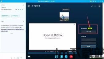 Skype播报,揭秘即时通讯巨头的新动态与未来展望(图1) Skype播报,揭秘即时通讯巨头的新动态与未来展望(图1)