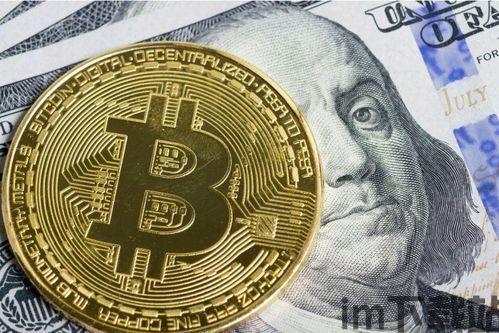 比特币的过去现在未来,过去的价格波动、现状分析与未来展望(图3) 比特币的过去现在未来,过去的价格波动、现状分析与未来展望(图3)