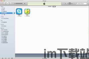 skype不能在苹果上使用么,苹果设备上无法使用Skype的解决方案探析(图1) skype不能在苹果上使用么,苹果设备上无法使用Skype的解决方案探析(图1)