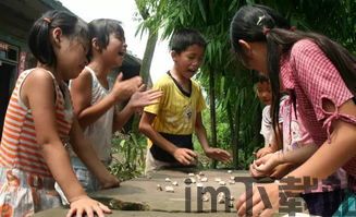 我坦克玩的贼6 (图1) 我坦克玩的贼6 (图1)