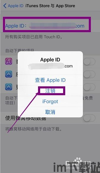 skype苹果版无法语音通话记录,全面解析解决方法(图2) skype苹果版无法语音通话记录,全面解析解决方法(图2)
