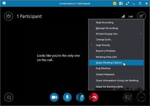 skype如何参加会议,轻松发起和参与在线会议(图2) skype如何参加会议,轻松发起和参与在线会议(图2)