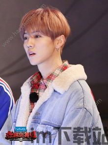 鹿晗明星主题 (图1) 鹿晗明星主题 (图1)