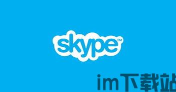 skype人群,跨越时空的沟通桥梁(图3) skype人群,跨越时空的沟通桥梁(图3)