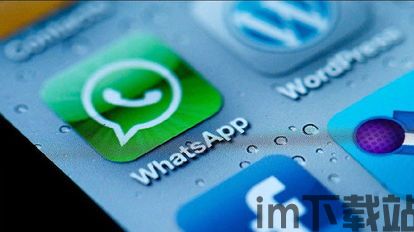 中国 whatsapp 翻墙,畅享全球通讯新体验(图3) 中国 whatsapp 翻墙,畅享全球通讯新体验(图3)