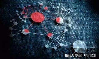 区块链会计,创新、挑战与未来展望(图3) 区块链会计,创新、挑战与未来展望(图3)