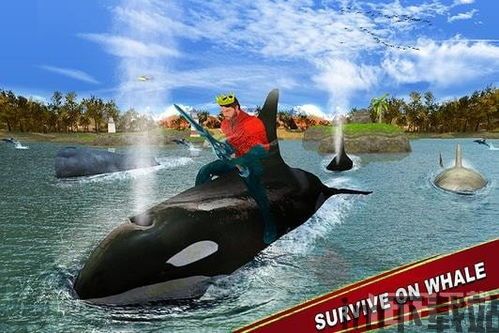 鲸鱼海洋探险最新版中文下载v1.10 (图1) 鲸鱼海洋探险最新版中文下载v1.10 (图1)