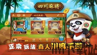 两个人的游戏挑战 (图1)
