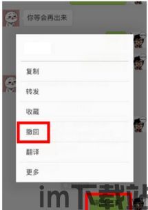 skype发的图片怎么撤回,如何从Skype撤回已发送的图片(图1) skype发的图片怎么撤回,如何从Skype撤回已发送的图片(图1)