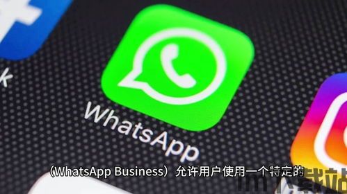 中国号怎么登whatsapp(图2) 中国号怎么登whatsapp(图2)