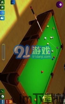 街机台球大师 (图3)