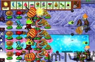 植物大战僵尸像素版小熊试玩同款 (图1)