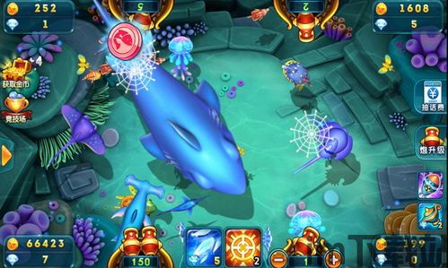 鲨鱼游戏交易 (图1) 鲨鱼游戏交易 (图1)