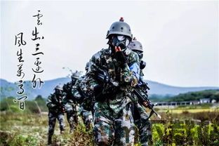 我坦克玩的贼6 (图1)