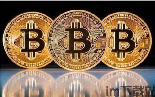 比特币里的肥仔,揭秘加密货币界的神秘人物(图2) 比特币里的肥仔,揭秘加密货币界的神秘人物(图2)