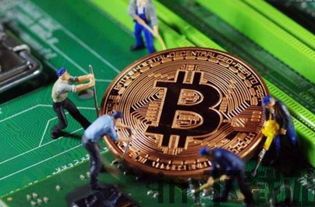 比特币里的肥仔,揭秘加密货币界的神秘人物(图3) 比特币里的肥仔,揭秘加密货币界的神秘人物(图3)