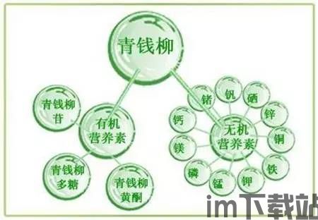 植物胰岛素以太坊,创新科技引领健康革命(图1) 植物胰岛素以太坊,创新科技引领健康革命(图1)