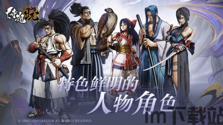 侍魂晓购买人物无法使用,探索无法使用背后的原因(图3)