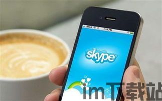 skype打国外座机,Skype轻松连接全球座机通话(图3) skype打国外座机,Skype轻松连接全球座机通话(图3)