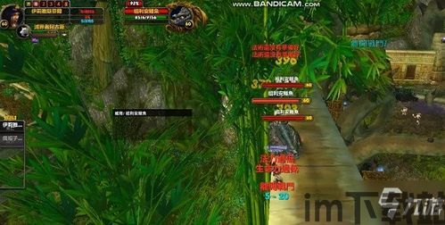 鲨鱼游戏交易 (图1) 鲨鱼游戏交易 (图1)