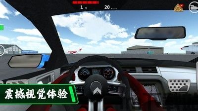 开车的小偷 (图2)