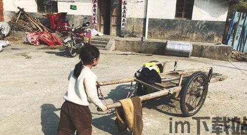 乡村小说 (图2) 乡村小说 (图2)