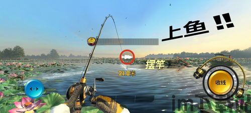 小猫钓鱼游戏 (图3) 小猫钓鱼游戏 (图3)