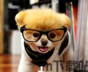 大头狗boo,趣味横生的童话世界之旅(图3) 大头狗boo,趣味横生的童话世界之旅(图3)