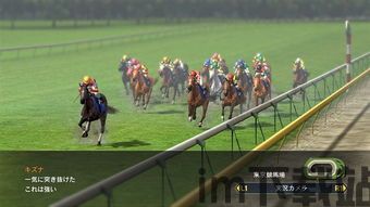赛马大亨8游戏说明,成就传奇(图1) 赛马大亨8游戏说明,成就传奇(图1)