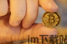 东京法院对比特币规定,东京法院对比特币的法律规定与监管概述(图2) 东京法院对比特币规定,东京法院对比特币的法律规定与监管概述(图2)